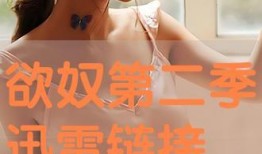 在线观看欲奴第二季,欲望深渊，爱欲交织的复仇之旅