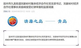 胶州最新爆料消息视频播放,视频揭秘惊人真相！