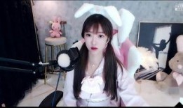 妹在线观看.,揭秘网络直播的魅力与挑战