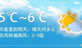 郑州晚安爆料视频,揭秘城市夜生活背后的故事