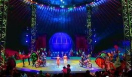 暗夜大马戏爆料视频,惊悚幕后曝光，惊心动魄的表演背后