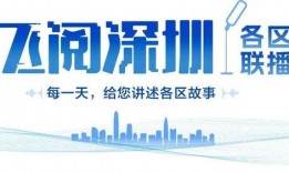深圳邓先生最近爆料新闻,最新爆料事件深度解析