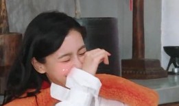 导演爆料杨颖视频大全最新,揭秘明星幕后生活片段