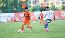 石家庄永昌爆料案件最新,揭秘背后真相与影响