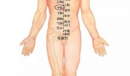 肚脐高清肚脐在线观看,揭秘肚脐的神秘魅力