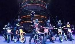 暗夜大马戏爆料视频,惊悚幕后曝光，惊心动魄的表演背后