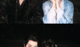 最新娱乐圈八卦爆料白鹿,娱乐圈再掀波澜