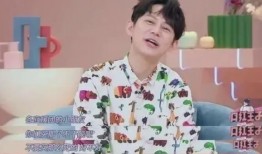 最新爆料何炅视频播放