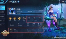 王者爆料被骂视频素材无水印,无水印素材引发网友热议