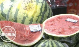 朝堂吃瓜第一集免费观看,第一集免费揭秘宫廷秘闻