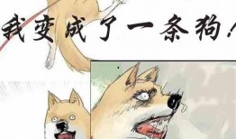 一心吃瓜小说免费阅读,揭秘网络小说界的免费阅读盛宴