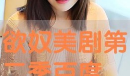 在线观看欲奴第二季,欲望深渊，爱欲交织的复仇之旅