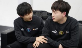 爆料狼队训练视频,揭秘球队备战新赛季的秘密武器