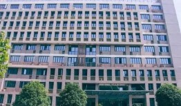 合肥大学新瓜最新爆料,揭秘校园风云背后的真相