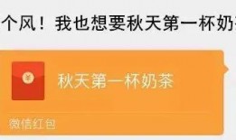 奶茶最新爆料视频播放下载,播放下载量惊人，幕后故事揭秘