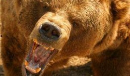 网红电次熊吃瓜在线,揭秘网红界的幕后故事