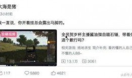 小智爆料的视频在线观看,揭秘精彩瞬间，不容错过的精彩内容