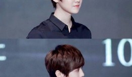 爆料鹿晗舔狗图片高清视频,高清视频揭示惊人一幕