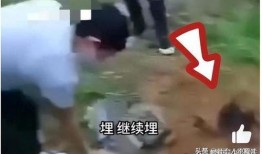 缅北真实录像爆料视频,震撼曝光的背后真相