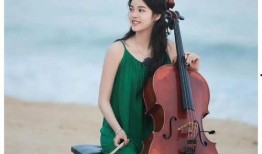 最新娱乐圈八卦爆料白鹿,娱乐圈再掀波澜