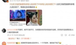 北京卫视重播在线观看,北京卫视重播节目在线观看指南