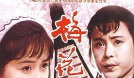 电影梅花巾在线观看