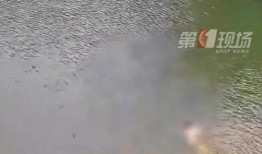 爆料男子溺亡视频大全集,视频大全集深度剖析