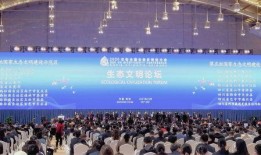 成都武侯区最新爆料信息,揭秘区域发展新动向与未来规划