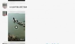 爆料男子溺亡视频大全集,视频大全集深度剖析