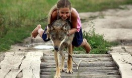 狼 2009 在线观看,在线重温狼性世界的惊心动魄