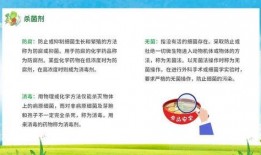 爆料食品安全视频播放下载,视频曝光与下载背后的真相