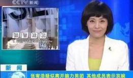 杨爸爆料视频大全最新网站,揭秘娱乐圈幕后真相