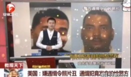 独家爆料离谱新闻视频播放,离谱新闻视频播放背后的惊人真相