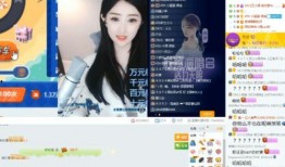 玖曦新人爆料视频,揭秘幕后故事与精彩瞬间