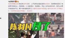 蔡向阳遗孀独家爆料视频,独家爆料视频背后的惊人真相