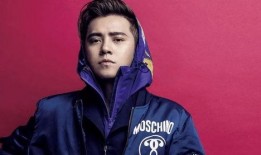 罗志祥最新资爆料,揭秘娱乐圈背后的惊人真相