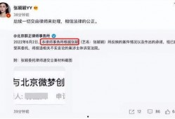 张颖颖爆料分析最新视频,事件真相与幕后黑幕