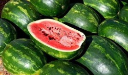 免费吃瓜专区,揭秘娱乐圈幕后故事，带你畅游娱乐八卦海洋