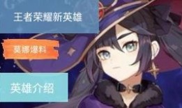 原神舅哥爆料视频大全,揭秘游戏幕后故事与精彩瞬间