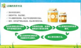 爆料食品安全视频播放下载,视频曝光与下载背后的真相