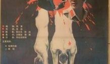 杀机背后在线观看,揭秘网络暗流涌动的悬疑世界