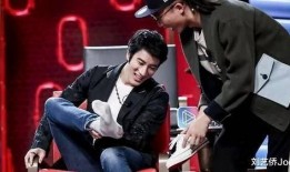 王力宏历年爆料视频,揭秘音乐人生背后的故事