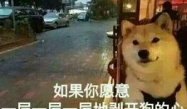 知名狗崽爆料事件视频,揭秘知名事件背后惊人真相