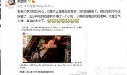 斗鱼七哥爆料视频大全集,揭秘网络红人幕后故事