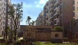 狼人新时装爆料视频网页,炫酷造型引热议，揭秘游戏新风尚