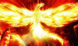 凤凰真实存在吗爆料新闻,凤凰真实存在？揭秘神秘爆料背后的真相