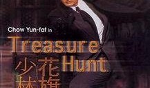 花旗少林在线观看,跨国武术传奇，在线观看揭秘