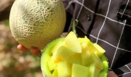 娱乐圈吃瓜壁纸高清全屏,高清全屏揭秘明星幕后故事