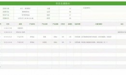 策划最新爆料文案模板怎么写,探寻幕后故事，深度解析项目亮点