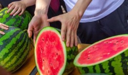 免费吃瓜专区,揭秘娱乐圈幕后故事，带你畅游娱乐八卦海洋